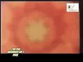 رضا ألخياط ( بحار ) ألارشيف ألخاص - You.mp4