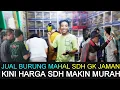 Download Lagu ❎ JUAL BURUNG MAHAL SUDAH GK JAMAN KINI HARGA SUDAH SEMAKIN MURAH DI PASAR BURUNG PRAMUKA