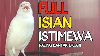 Download 🔴 SUARA BURUNG KENARI FULL ISIAN CIBLEK COCOK BUAT PANCINGAN KENARI PAUD BELAJAR BUNYI 100%  AMPUH MP3