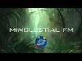 Hello Meteor - The Building Of Forests