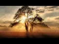 I Fall Apart X Leaving Illenium X Post Malone