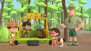 MEET the most SOCIABLE animal in the forest! | Leo the Wildlife Ranger | Kids Educational Cartoons