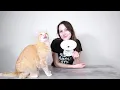 Necoichi Extra Wide Raised Cat Bowl Review We Tested It