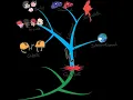 Mind Mapping for Problem Solving in the Workplace