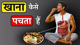 How Digestion Works | Scientifically Explained