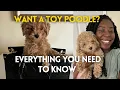 I got a puppy pros cons of toy poodle how much did I spend what to do when you get a new puppy