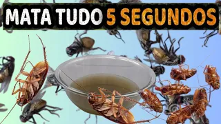 Baratas , moscas e formigas vão sumir da sua casa por muito tempo se você usar isso!!