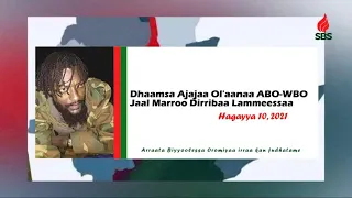 Dhaamsa Ajajaa Ol Aanaa ABO WBO Jaal Marroo Dirribaa Lammeessaa SBS 