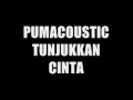 Download Lagu PUMACOUSTIC   TUNJUKKAN CINTA