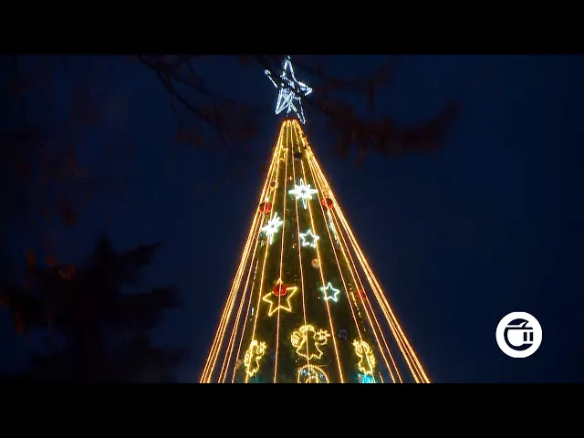 ახმეტაში მთავარი საახალწლო ნაძვის ხე აანთეს