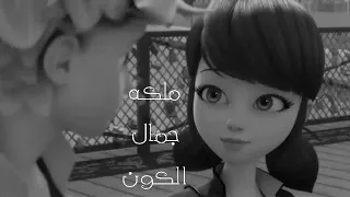 الشامي و تامر حسني ملكة جمال الكون بصوت السناجب كامله بدون موسيقى 