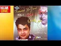 حميد الشاعري - ألبوم حلاوتك يا فوزي | Hamid El Shaery - Halawtak Ya Fawzy (Full Album) 1996