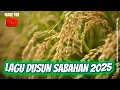 Download Lagu LAGU DUSUN SABAHAN TERBAIK 2025 / VIRAL 2025 / POPULAR 