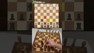 أفخاخ شطرنج 2 