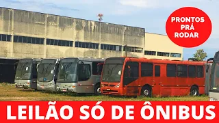 47 ÔNIBUS SERÃO LEILOADOS, TEM ATÉ ARTICULADO SCANIA!!