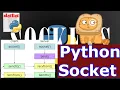 SOCKETS Send and receive data PYTHON