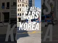 Lagu Wait… are all cars in Korea Hyundai or Kia? #korea #seoul #travel #hyundai #kia #cars