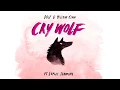 Download Lagu DOLF \u0026 Yellow Claw - Cry Wolf ft. Sophie Simmons