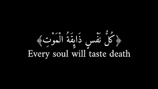 كل نفس  ذائقة الموت  عبدالرحمن مسعد  شاشة سوداء      سورة العنكبوت      دندنها