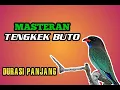 Download Lagu MASTERAN TENGKEK BUTO, DURASI PANJANG TANPA JEDA!!!...
