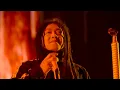 ROCK MOUNTAIN 2025 : บ้าบอ - Silly Fools