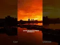 Download Lagu Can You Believe THIS Sunrise is in Perth? 😍 #welcometoperth #sunrise #westernaustralia #shorts