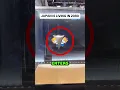 #babifreitas