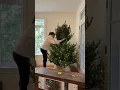 Realistic Artificial Christmas Trees - Nowegian Pre-Lit Tree