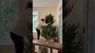 Realistic Artificial Christmas Trees - Nowegian Pre-Lit Tree