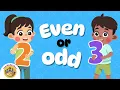 Kids Educational s Kindergarten and Elementary ENGLISH Math Even and Odd Numbers for Kids