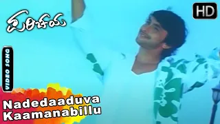 parichaya songs nadedaduva kamanabillu tharun chandra rekha latest kannada songs