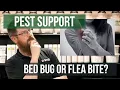 Flea VS Bed Bug Bite Pest Support