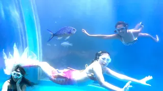 We Found Real MARMAID !! | Jalpari | Jabalpur Winter Mela #jabalpurwale