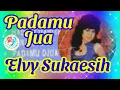 Download Lagu Elvy Sukaesih - Padamu Jua
