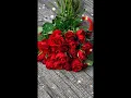Lovely Red Roses Gif