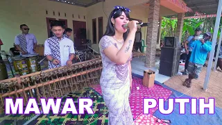 Vocal Khas Dangdut!! MAWAR PUTIH Versi Angklung New Carehal Malioboro Jogja Cover Dangdut