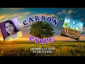 The carbon cycle How to draw carbon cycle Easy diagram of carbon cycle