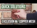 Quick Solutions How to Use Stuf-Fit Copper Mesh to Exclude Rats Mice