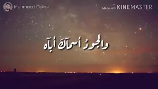 دعني اراك قبل صلاة العشق مع الافلاك 