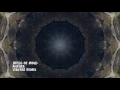 Birds of Mind - Ankara (Stavroz Remix)