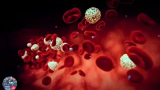 مكونات الدم 