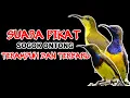 Lagu SUARA PIKAT SOGON ONTONG RIBUT