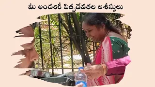 పితృపక్షం లో మీ అందరికోసం... | Narayana Seva | Susila Nanduri Srinivas Trust