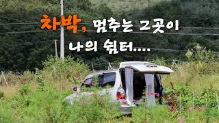 중년 여성의  나홀로 차박/상주 장각폭포 캠핑/carcamping/車中泊 썸네일