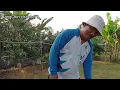 Download Lagu Herken de rijpe ZOETE GEUR