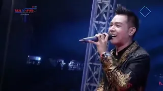 moon star new pallapa 