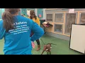 Private Lesson at Petco
