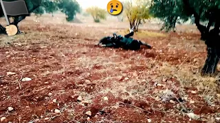 هذه الاخوه جمعتهم على حب الجهاد في سبيل الله نصره لهذا الدين 