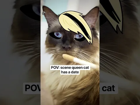 GRWM for a bad romance bbz #cat #animation #comedy #y2k