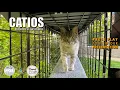 Download Lagu Catio Outdoor Cat Cage Enclosure Systems